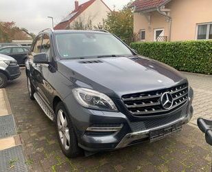 Mercedes-Benz ML 250 Gebrauchtwagen