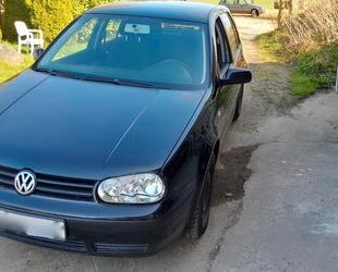 VW Golf Gebrauchtwagen
