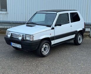 Fiat Panda Gebrauchtwagen