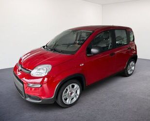 Fiat Panda Gebrauchtwagen