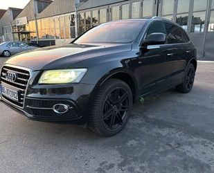 Audi Q5 Gebrauchtwagen