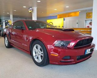 Ford Mustang Gebrauchtwagen