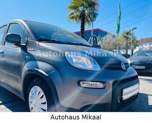 Fiat Panda Gebrauchtwagen