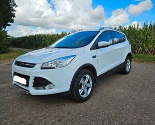 Ford Kuga Gebrauchtwagen