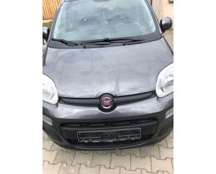 Fiat New Panda Gebrauchtwagen
