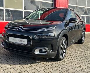 Citroen C4 Cactus Gebrauchtwagen