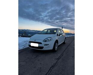 Fiat Punto Gebrauchtwagen