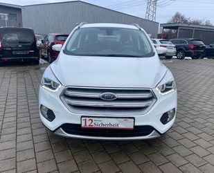 Ford Kuga Gebrauchtwagen