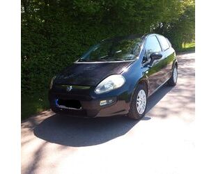 Fiat Punto Gebrauchtwagen