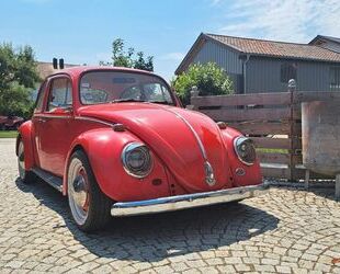 VW Käfer Gebrauchtwagen