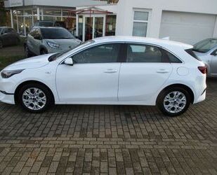 Kia ceed / Ceed Gebrauchtwagen
