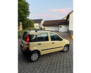 Fiat Panda Gebrauchtwagen