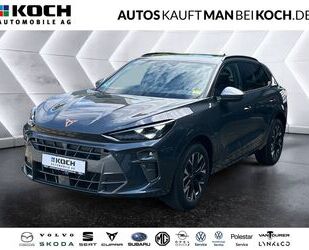 Cupra Terramar Gebrauchtwagen