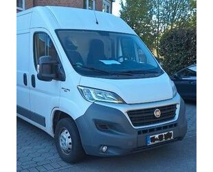 Fiat Ducato Gebrauchtwagen