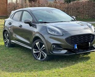 Ford Puma Gebrauchtwagen