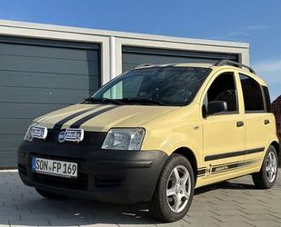 Fiat Panda Gebrauchtwagen
