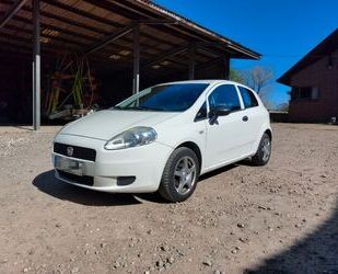 Fiat Punto Gebrauchtwagen