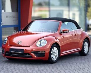 VW Beetle Gebrauchtwagen