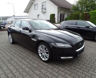 Jaguar XF Gebrauchtwagen