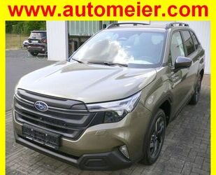 Subaru Forester Gebrauchtwagen