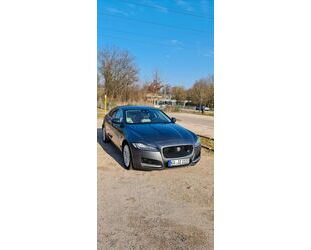 Jaguar XF Gebrauchtwagen