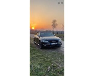 Audi S5 Gebrauchtwagen