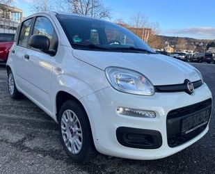 Fiat Panda Gebrauchtwagen