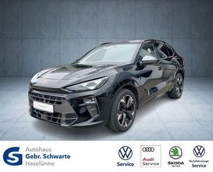 Cupra Terramar Gebrauchtwagen