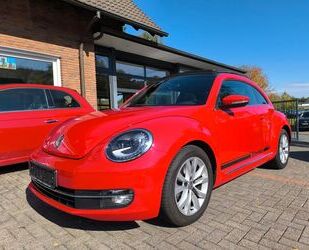 VW Beetle Gebrauchtwagen