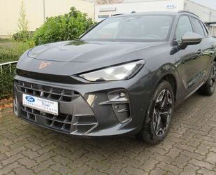 Cupra Terramar Gebrauchtwagen