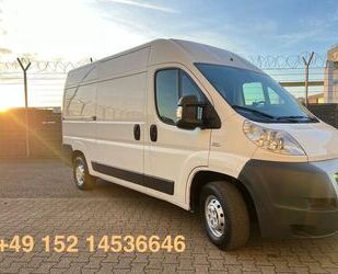 Fiat Ducato Gebrauchtwagen