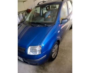 Fiat Panda Gebrauchtwagen