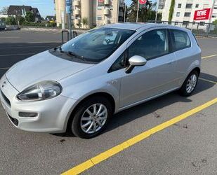 Fiat Punto Gebrauchtwagen