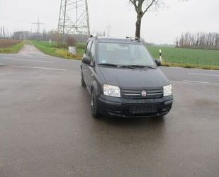 Fiat Panda Gebrauchtwagen
