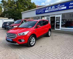 Ford Kuga Gebrauchtwagen