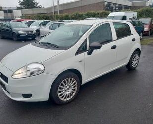 Fiat Punto Gebrauchtwagen