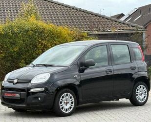 Fiat Panda Gebrauchtwagen