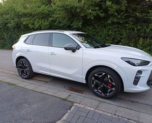 Cupra Terramar Gebrauchtwagen