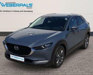 Mazda CX-30 Gebrauchtwagen
