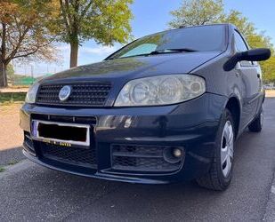 Fiat Punto Gebrauchtwagen