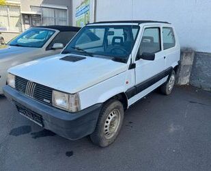 Fiat Panda Gebrauchtwagen