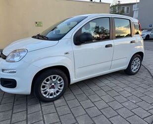 Fiat Panda Gebrauchtwagen