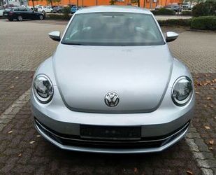 VW Beetle Gebrauchtwagen