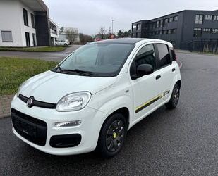 Fiat Panda Gebrauchtwagen