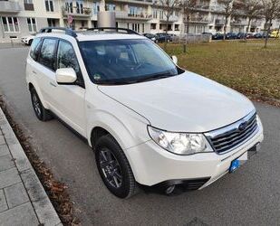 Subaru Forester Gebrauchtwagen