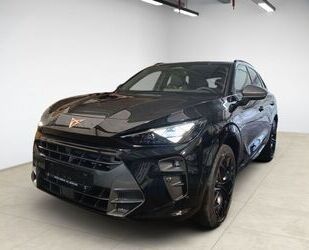 Cupra Terramar Gebrauchtwagen