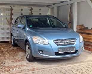 Kia ceed / Ceed Gebrauchtwagen