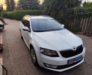 Ferrari Octavia 