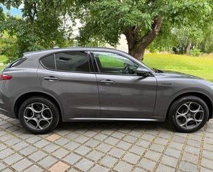 Alfa Romeo Stelvio Gebrauchtwagen