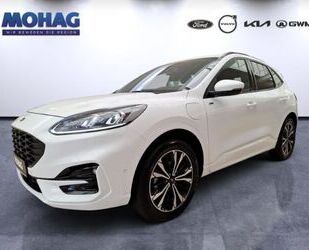 Ford Kuga Gebrauchtwagen